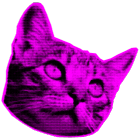 Imagem cabeça de gato rosa